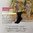 331121 Gesundheitssocke - extra weit / beige